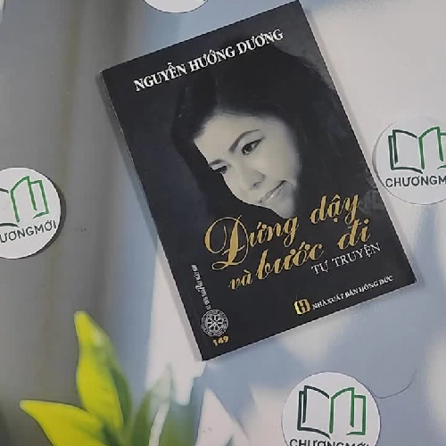 Đứng Dậy Và Bước Đi - Nguyễn Hướng Dương