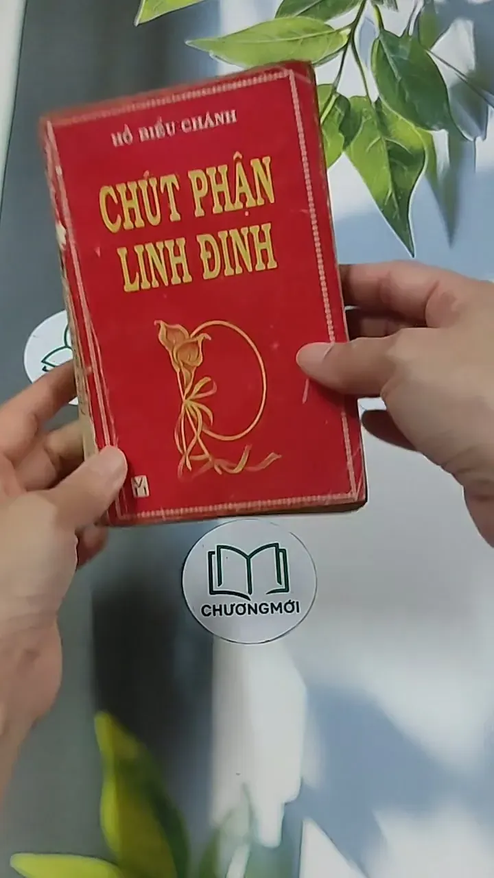 Chút Phận Linh Đinh (1996) - Hồ Biểu Chánh 674979