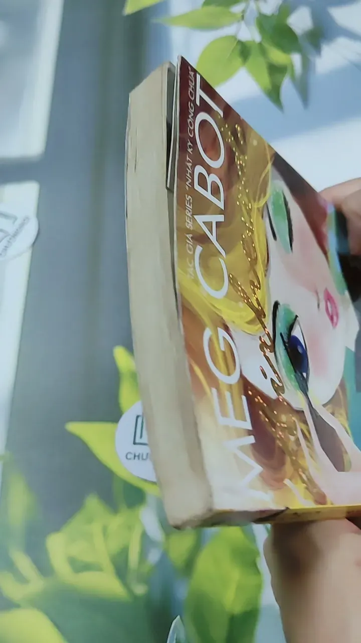 Airhead 2: Being Nikki Trở Thành Siêu Mẫu - Meg Cabot 744773