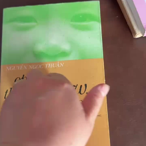 Open the Window, Eyes Closed – Nguyễn Ngọc Thuần (Bản Tiếng Anh)- K2