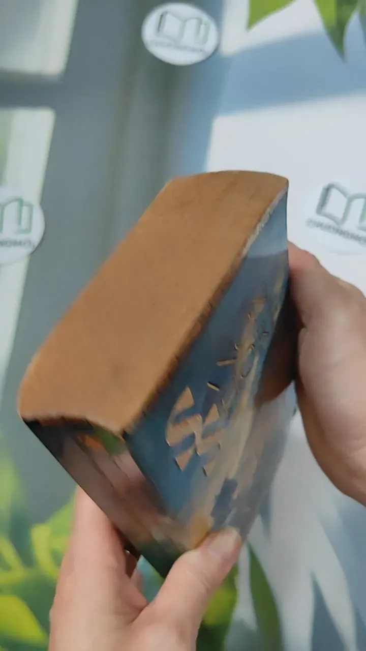 [MIỄN PHÍ BỌC SÁCH] [XƯA] The Saxon Shore (1999) - Jack Whyte 754499