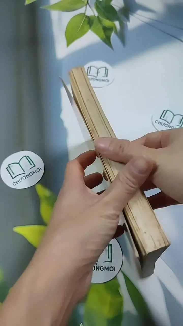 Bạn Muốn Đi Nước Ngoài? (Hỏi & Đáp Về Thủ Tục Cấp Visa Vào Các Nước 707254