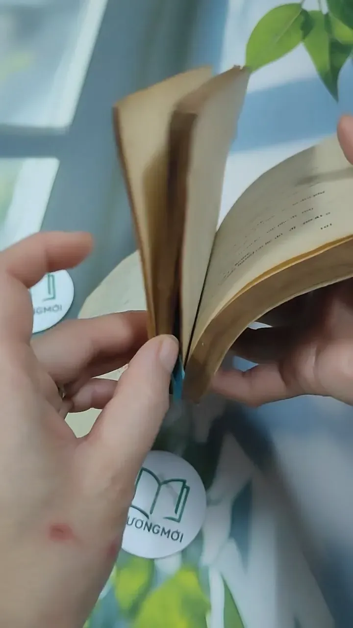 Tiếng Anh Thực Dụng Dễ Học 727293