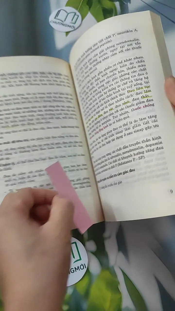 Các Thuốc Giảm Đau - Chống Viêm - PGS. TS. Đào Văn Phan 780807