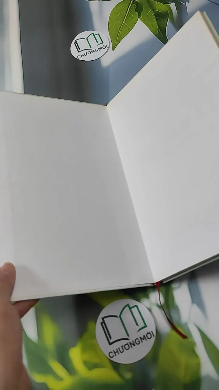 Hô Hấp Ký Spirometry - Lê Thị Tuyết Lan 780904