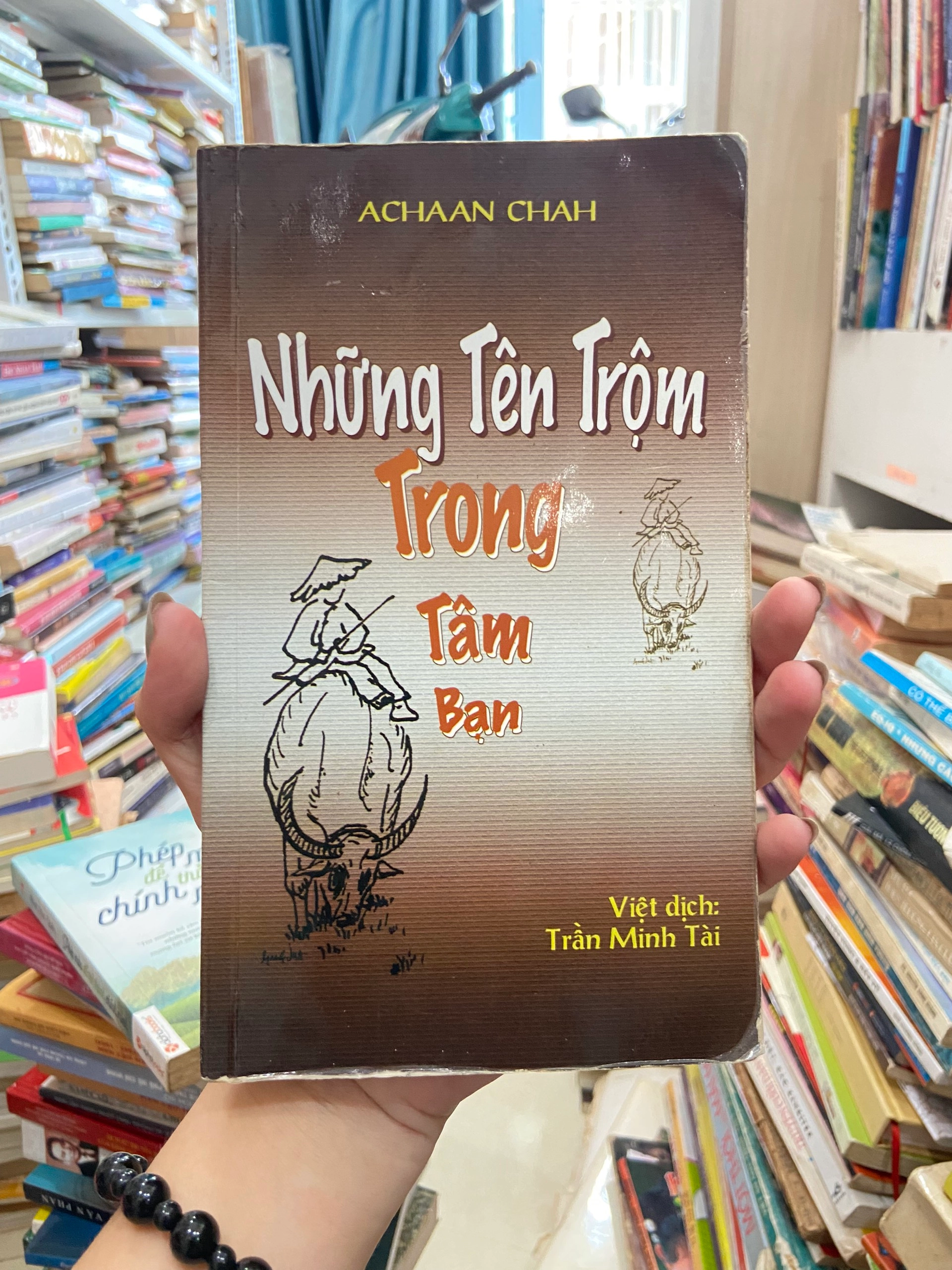 Những Tên Trộm Trong Tâm Bạn by Ajahn Chah - Sách Book Cover - Ngọc Hiển Books
