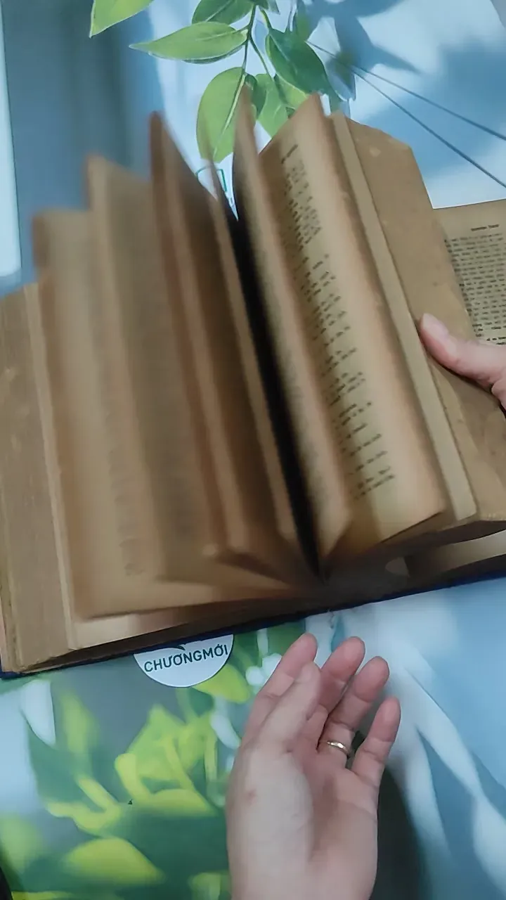 [MIỄN PHÍ BỌC SÁCH] Từ Điển Anh - Việt - Viện Ngôn Ngữ 750747