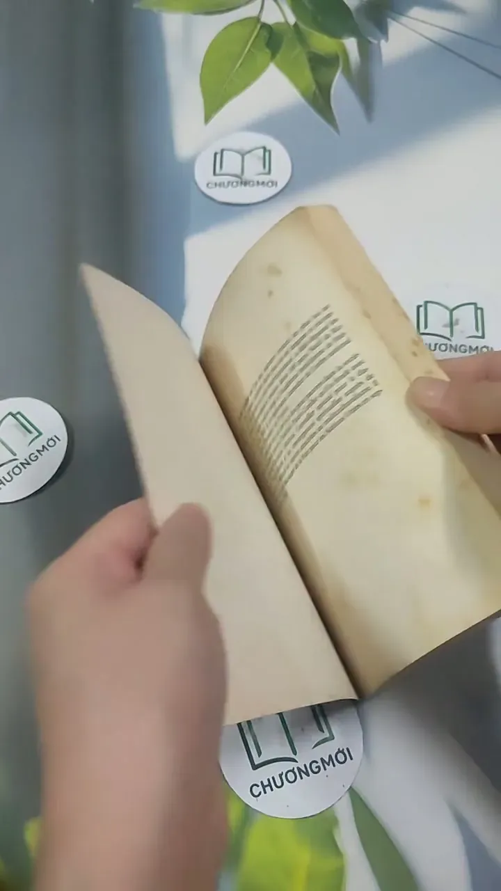 L'Alchimiste - Paulo Coelho 715635