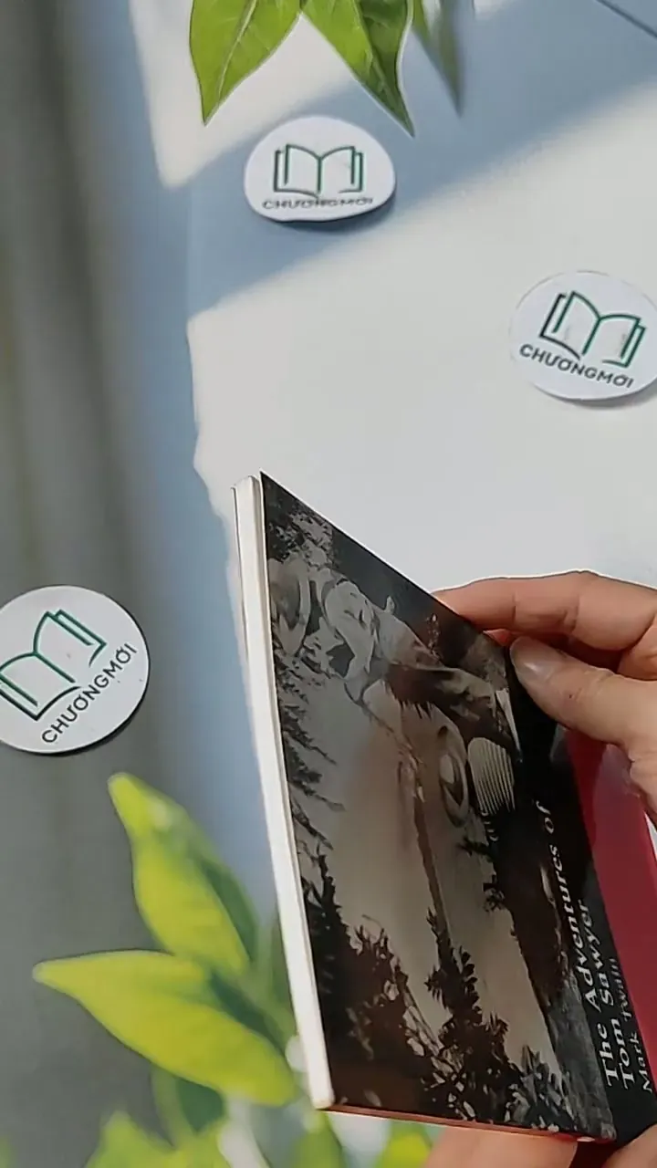 The Adventures of Tom Sawyer - Mark Twain 703069