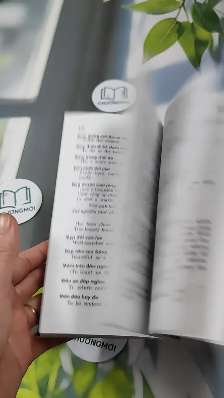 Từ Điển Thành Ngữ - Tục Ngữ Việt - Anh Tường Giải 727292