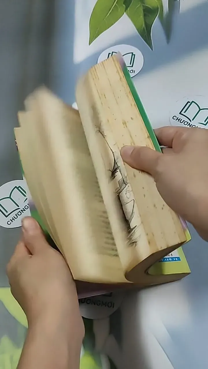 24 cung bậc trái tim 698564