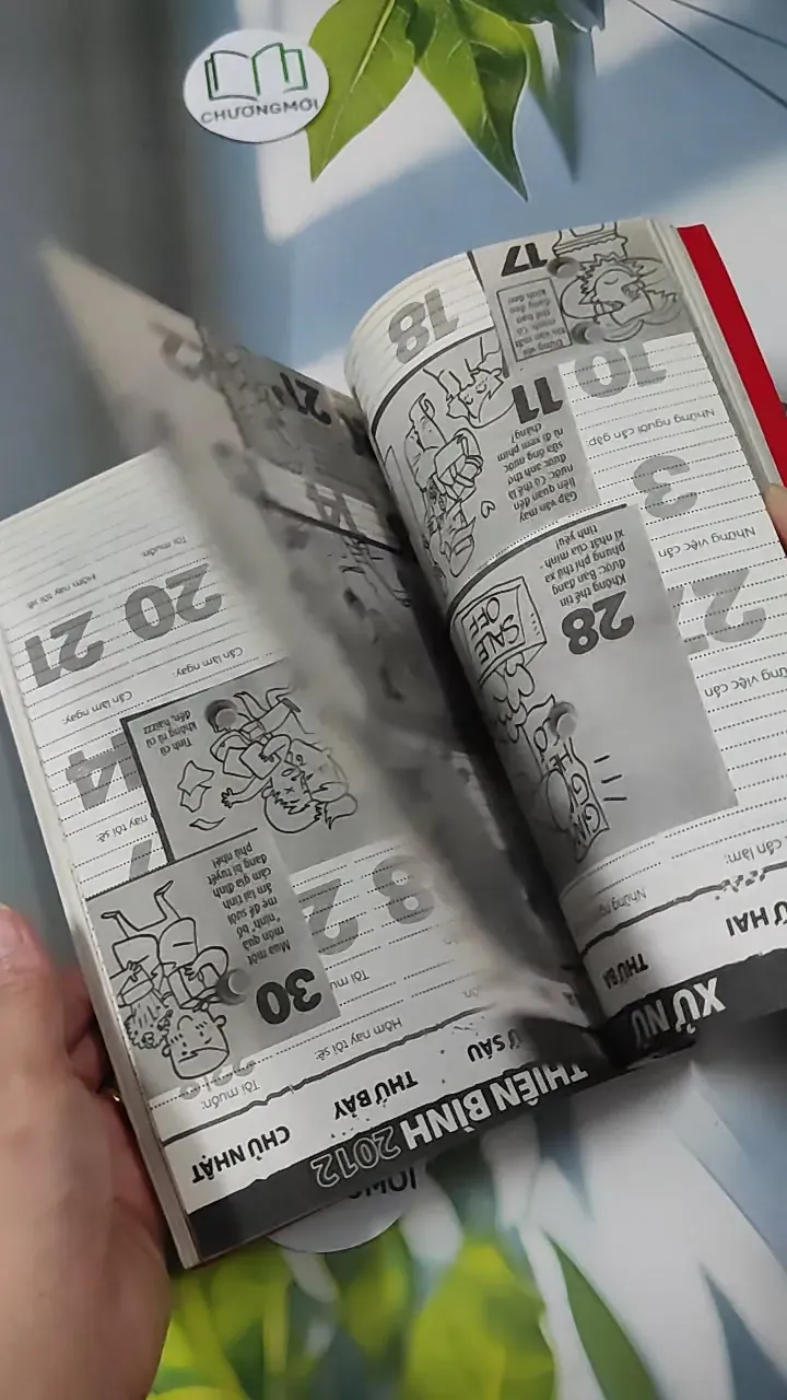 Tìm Thấy & Lạc Mất 780884