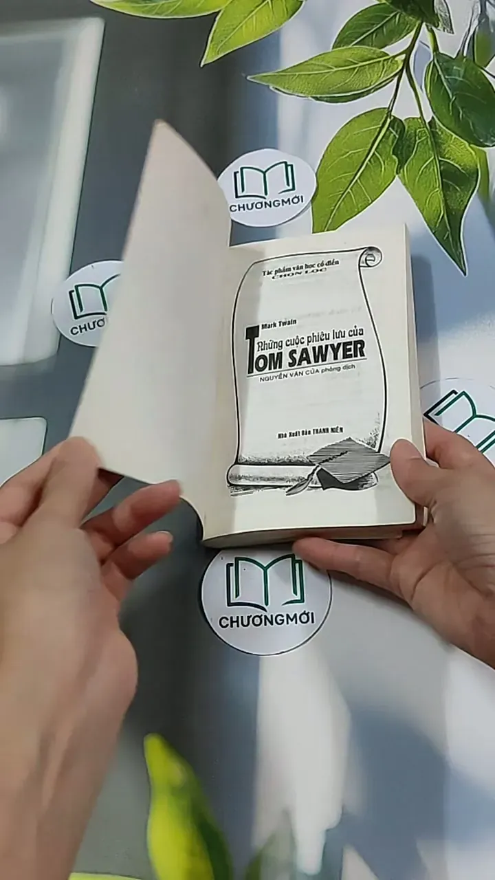 Những Cuộc Phiêu Lưu Của Tom Sawyer 604591