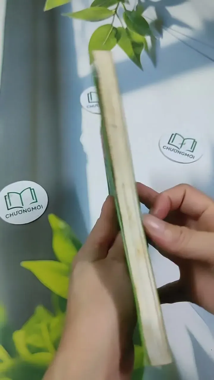 Phương Pháp Montessori - Nghệ Thuật Nuôi Dạy Trẻ Đỉnh Cao 705669