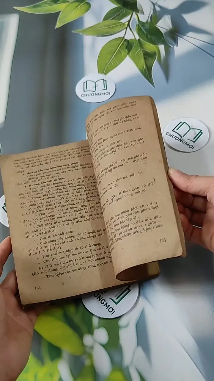 Giảng dạy bộ môn Tiếng Việt và Văn Học lớp 5 cải cách giáo dục (tập 4) - Đặng Mạnh Thường 713804