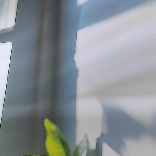 Trọn bộ Trại hoa vàng (4 tập) 607740