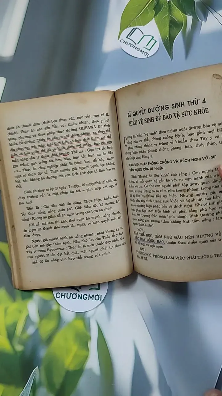 [XƯA] 6 Bí Quyết Dưỡng Sinh Người Có Tuổi (1994) 776147