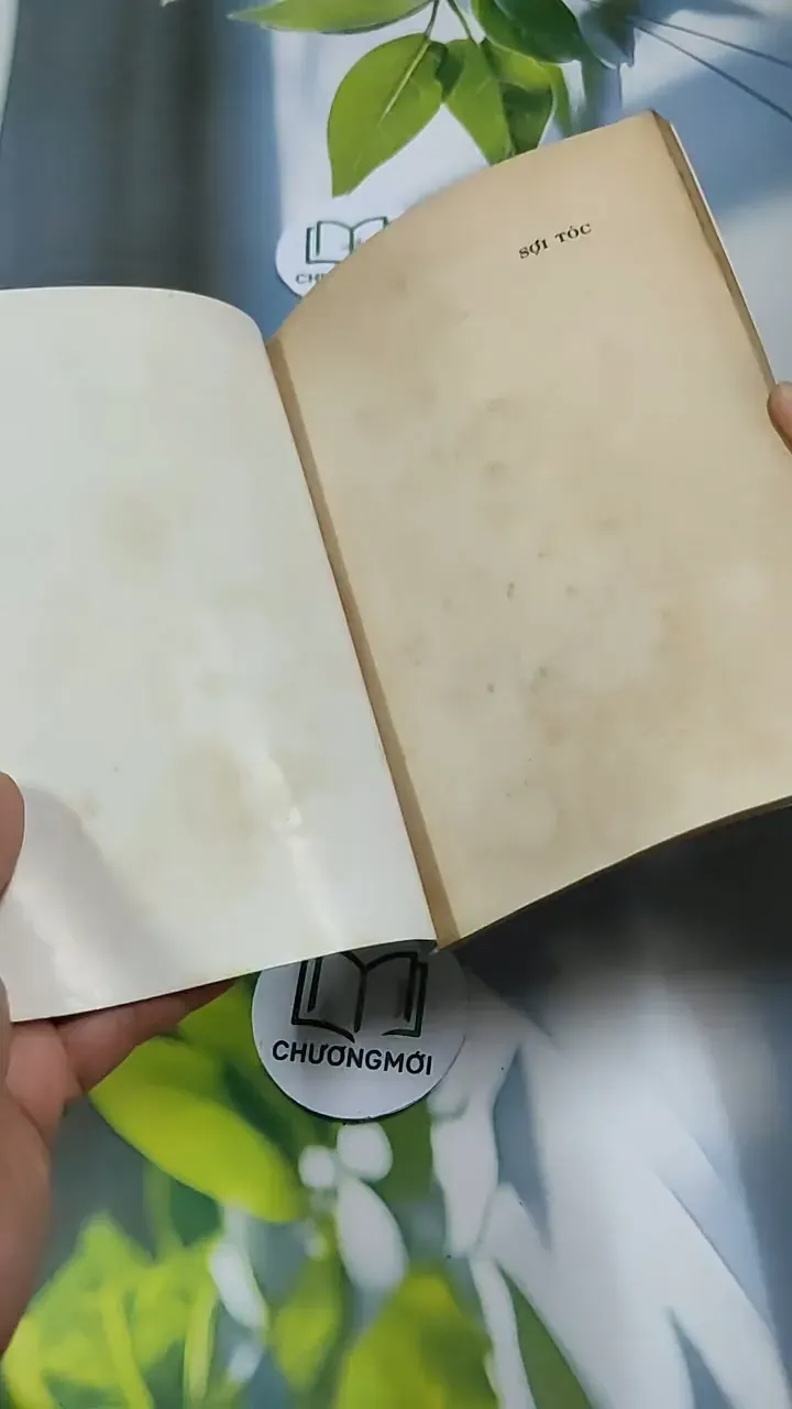 Thơ Sợi Tóc - Hoàng Tuấn 713903