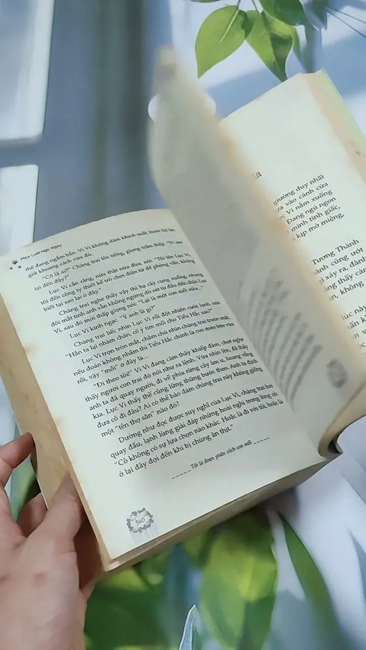 Hàng Đã Nhận, Miễn Trả Lại! - Mèo Lười Ngủ Ngày 744727