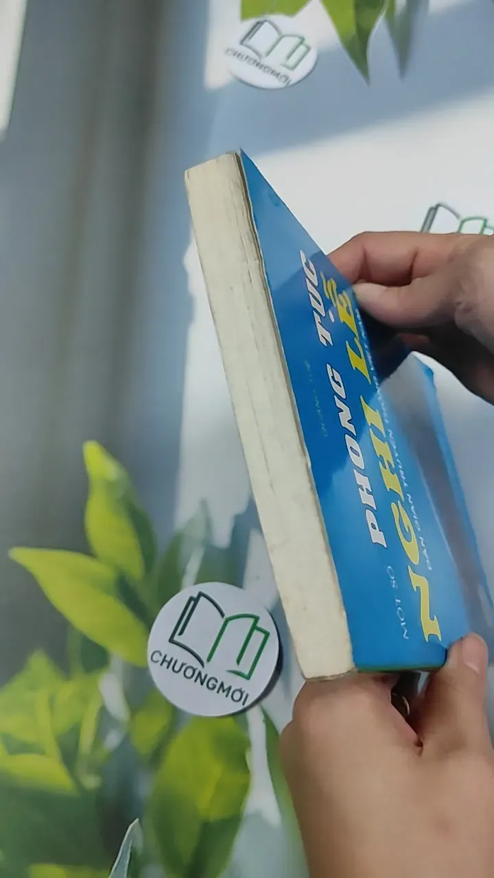 Một số phong tục nghi lễ dân gian truyền thống Việt Nam - Quảng Tuệ 776218