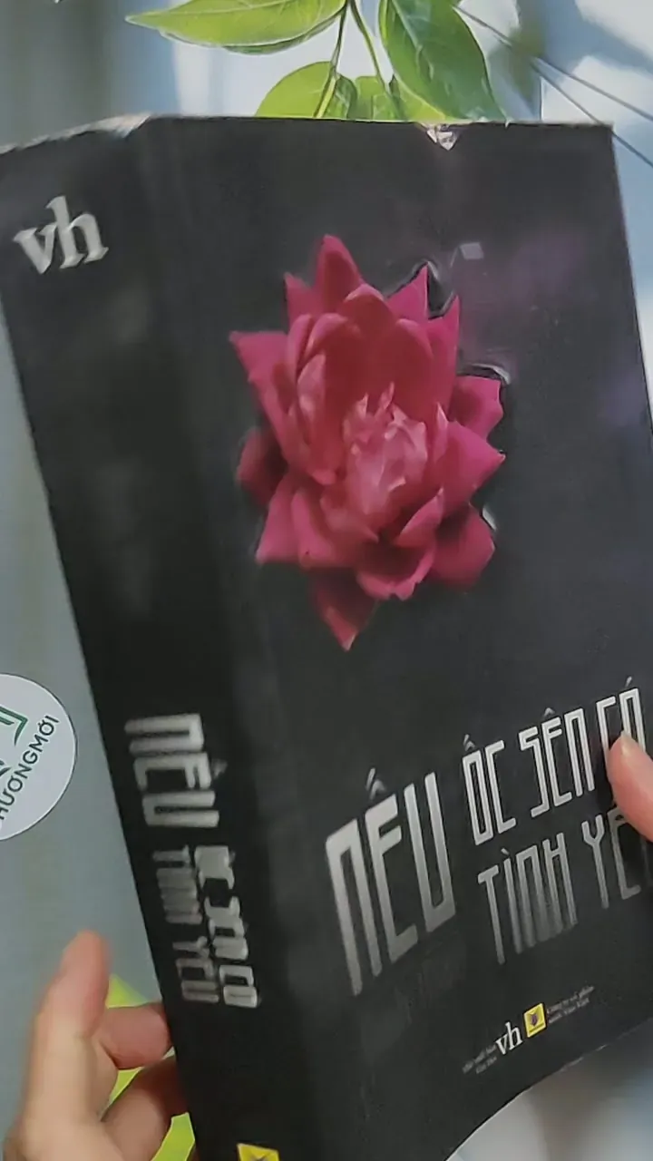 Nếu ốc sên có tình yêu - Đinh Mặc 688711