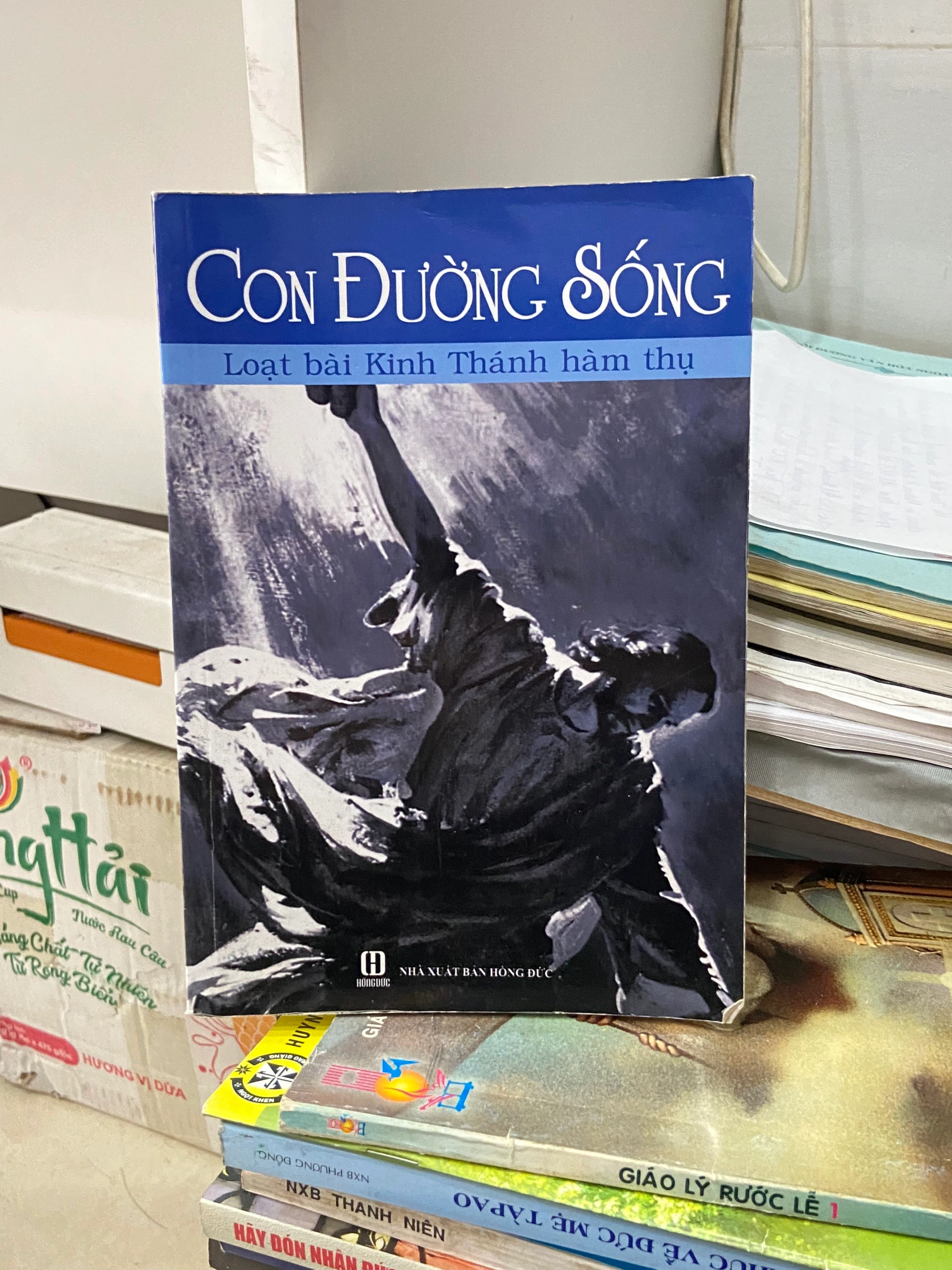 Con đường sống - Loạt bài Kinh thánh hàm thụ by  - Sách Book Cover - Ngọc Hiển Books