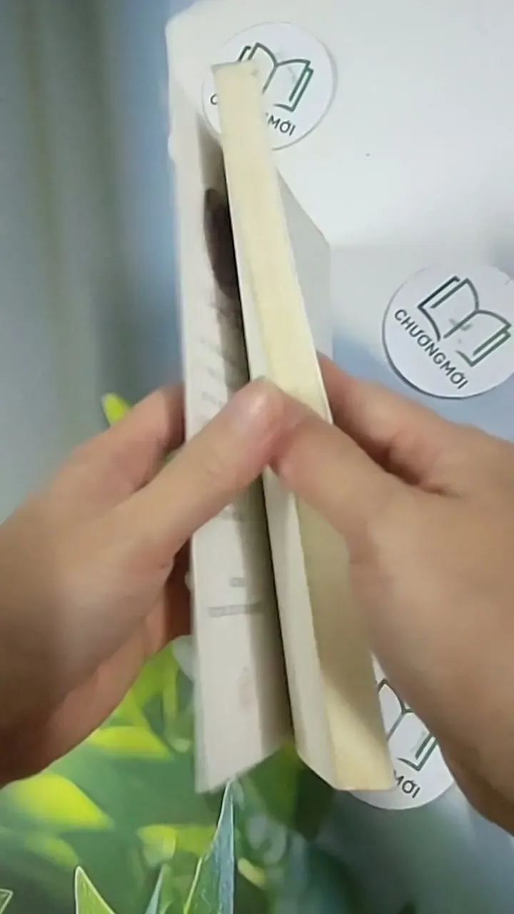 Thương Một Người Đến Đau Lòng - Quỳnh Thy 705642