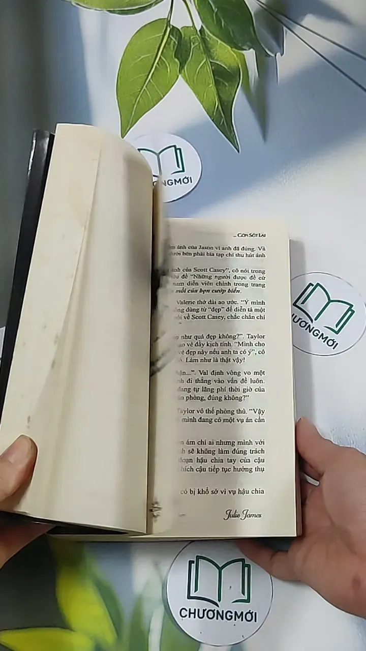 Đàn ông quyến rũ còn sót lại - Julie James 688693