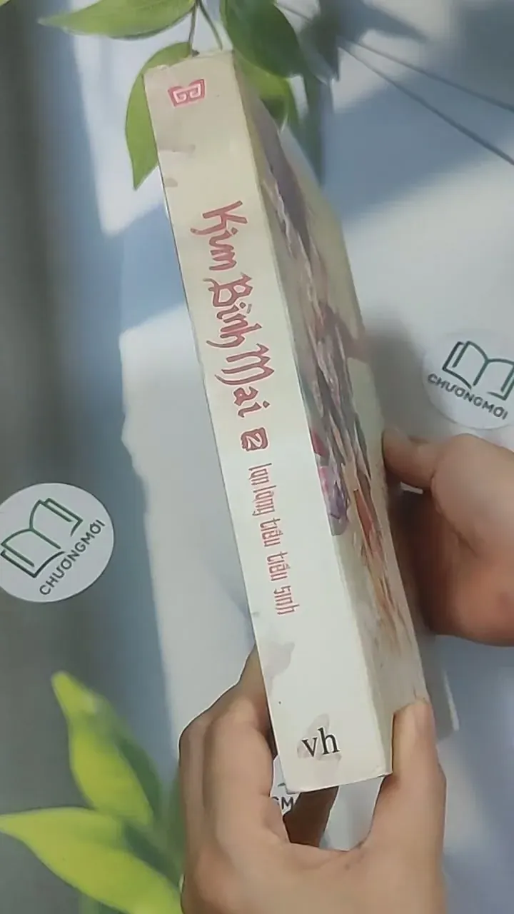 Kim Bình Mai 2 688580