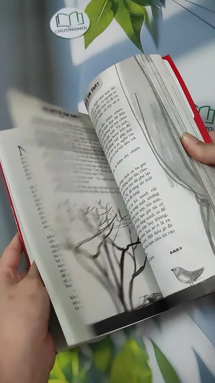 Tìm Thấy & Lạc Mất 780884