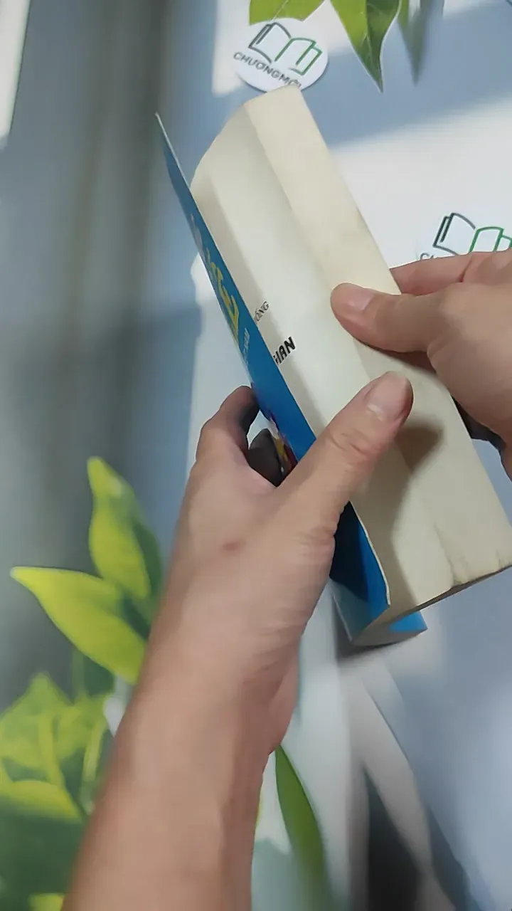 Một số phong tục nghi lễ dân gian truyền thống Việt Nam - Quảng Tuệ 776218