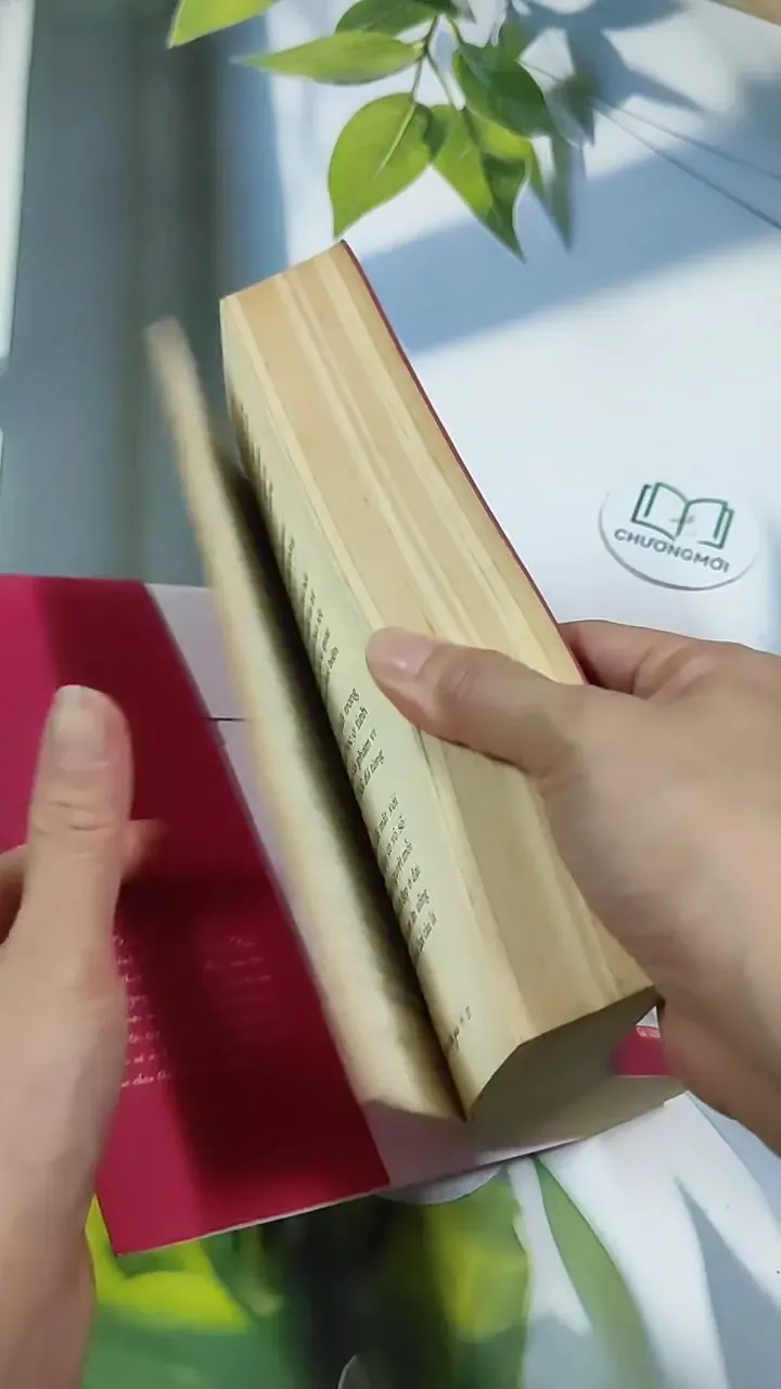 Đừng Nói Với Anh Ấy Tôi Vẫn Còn Yêu - Lục Xu 705707