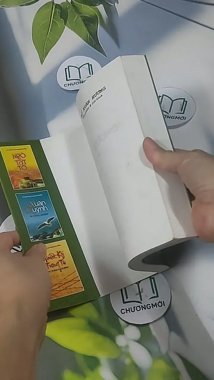 Hồ Xuân Hương Tác Phẩm & Lời Bình - Hồ Xuân Hương 705567