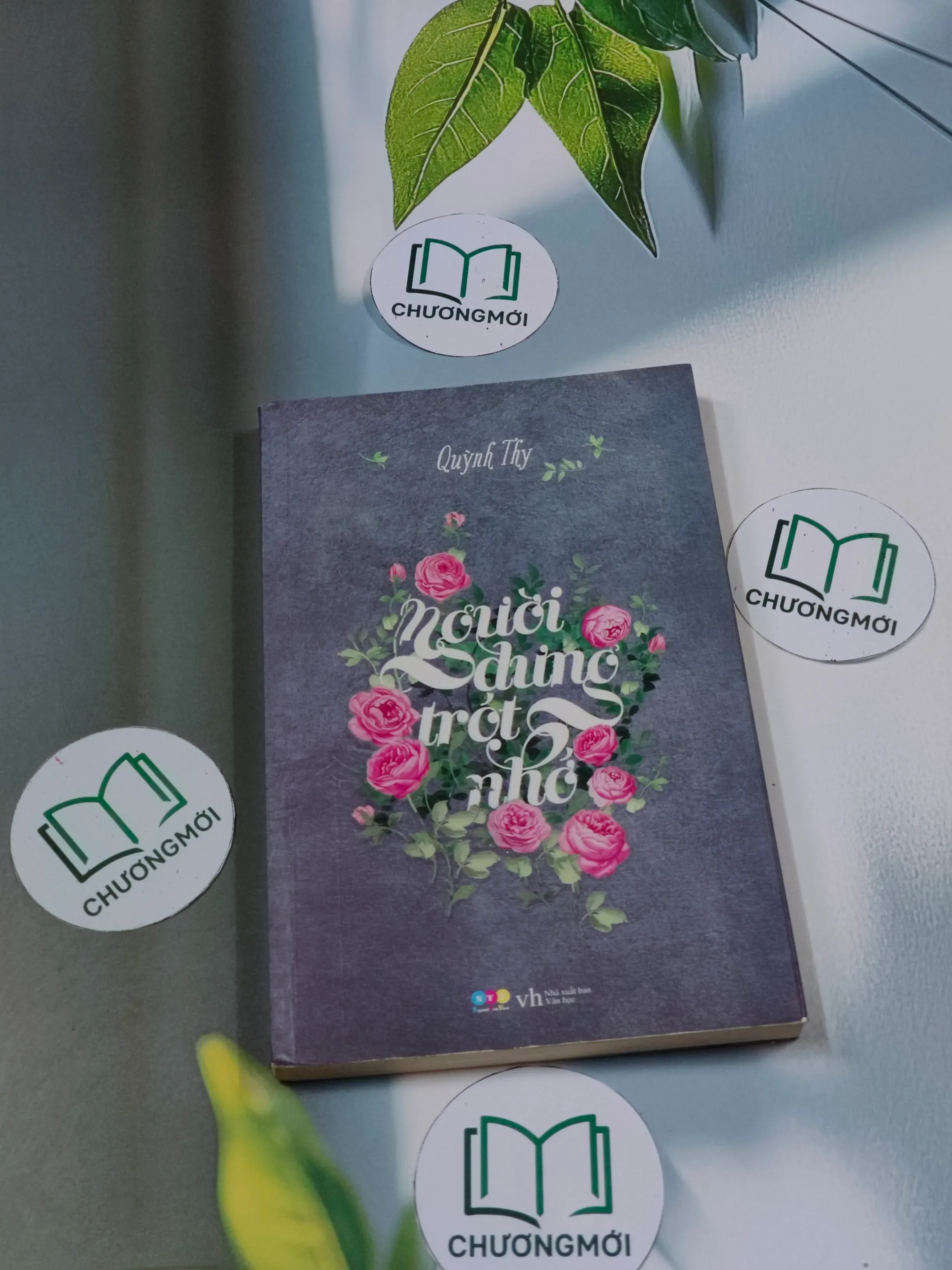 Người dưng trót nhớ - Quỳnh Thy