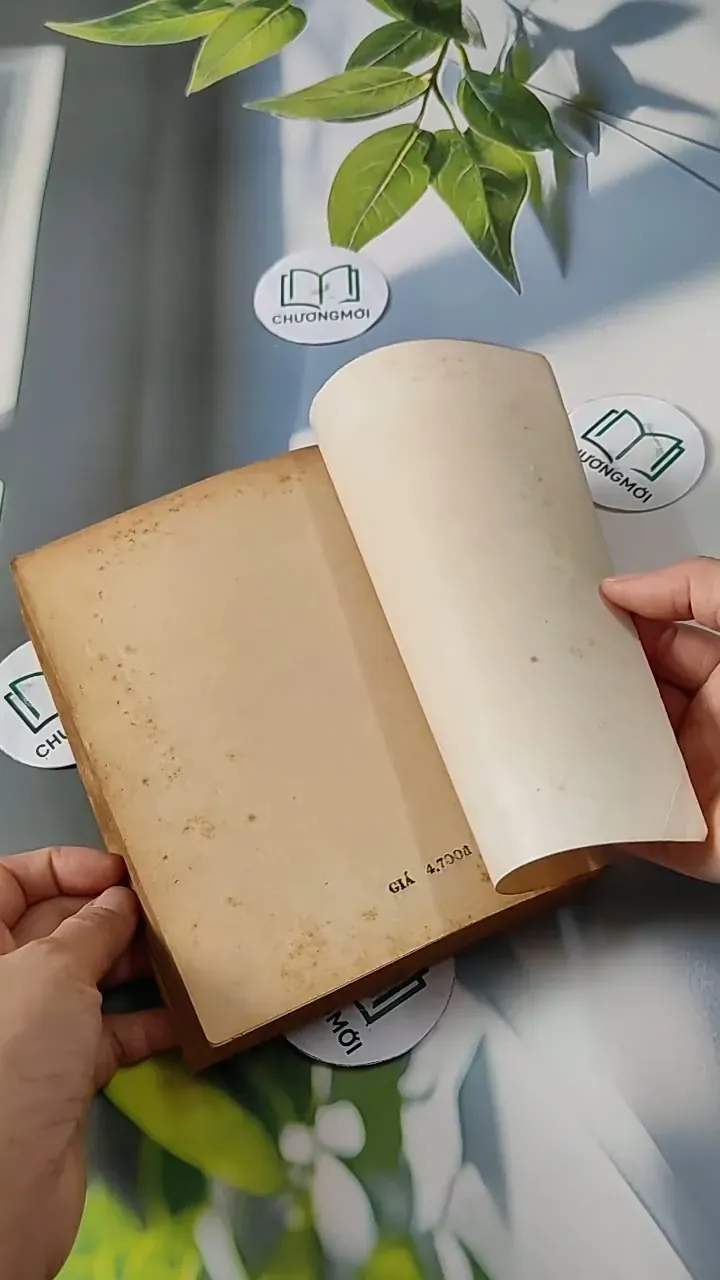 Tuyệt Mù Bóng Chim - Alan Paton 713811