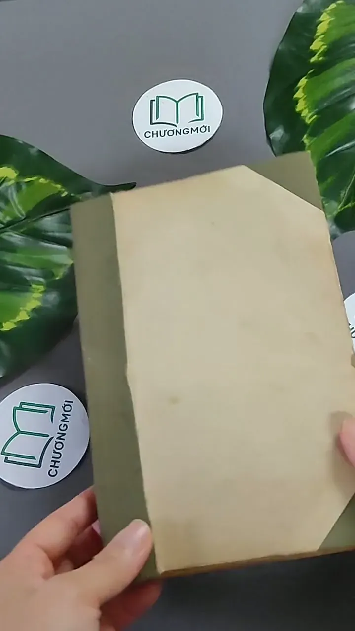 Trà Hoa Nữ 604659