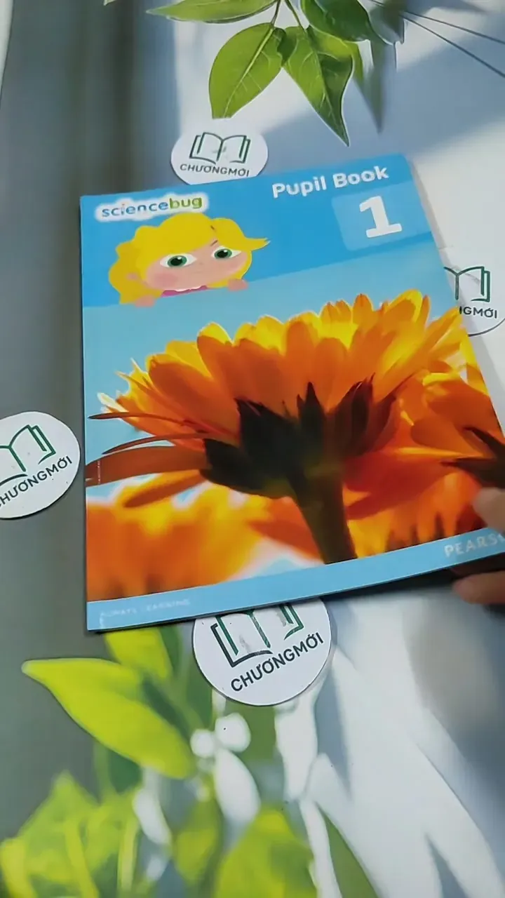 Science Bug Pupil Book Year 159 713904