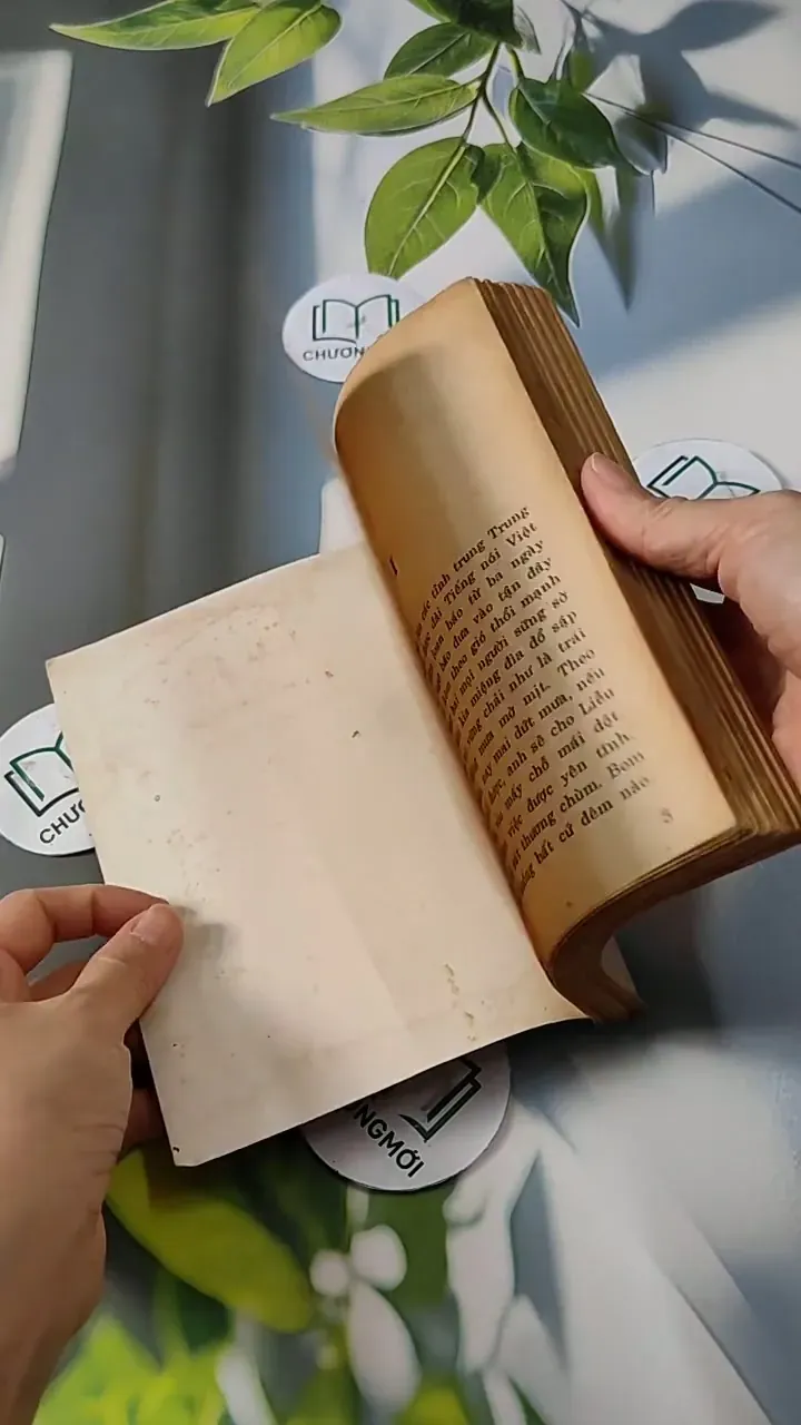 Những Người Đi Và Hai Người Ở Lại - Đinh Quang Nhã 713810