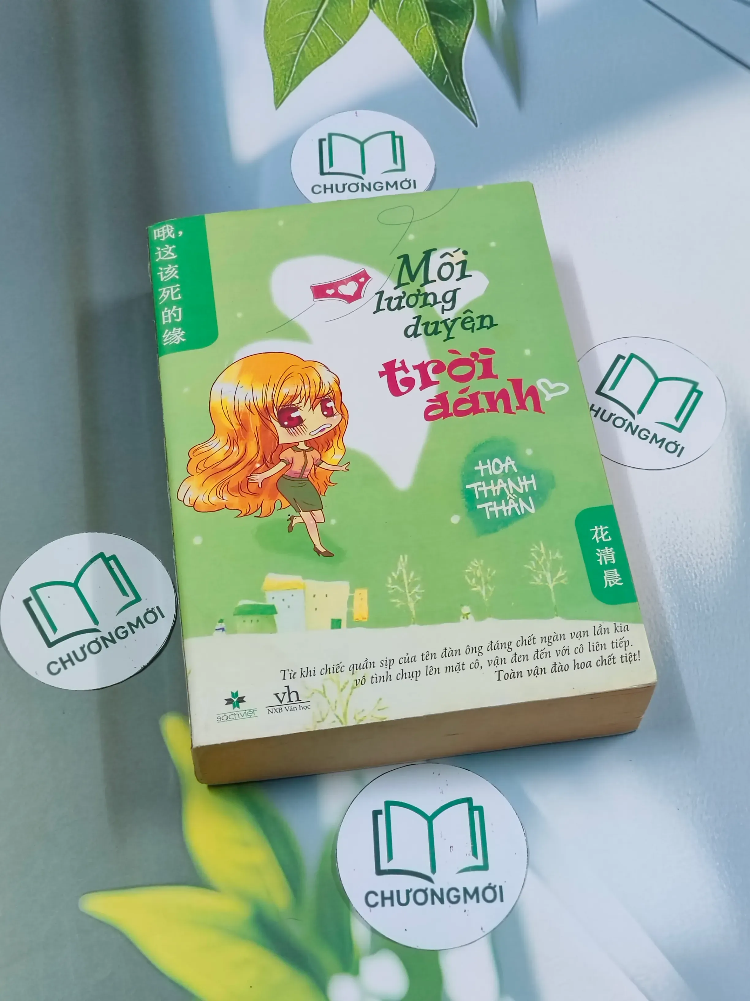 Mối lương duyên trời đánh - Hoa Thanh Thần