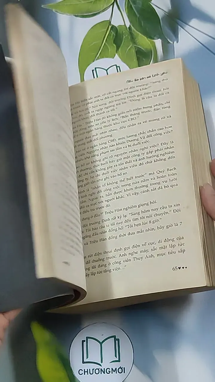 Nếu ốc sên có tình yêu - Đinh Mặc 688711