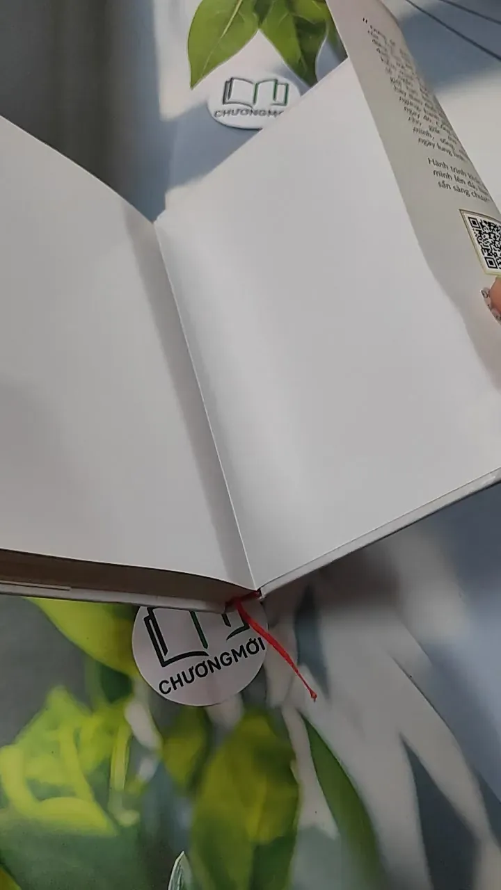 [MIỄN PHÍ BỌC SÁCH] Hành Trình Khắc Tên Mình Lên Đá - Diệu Thu 749593