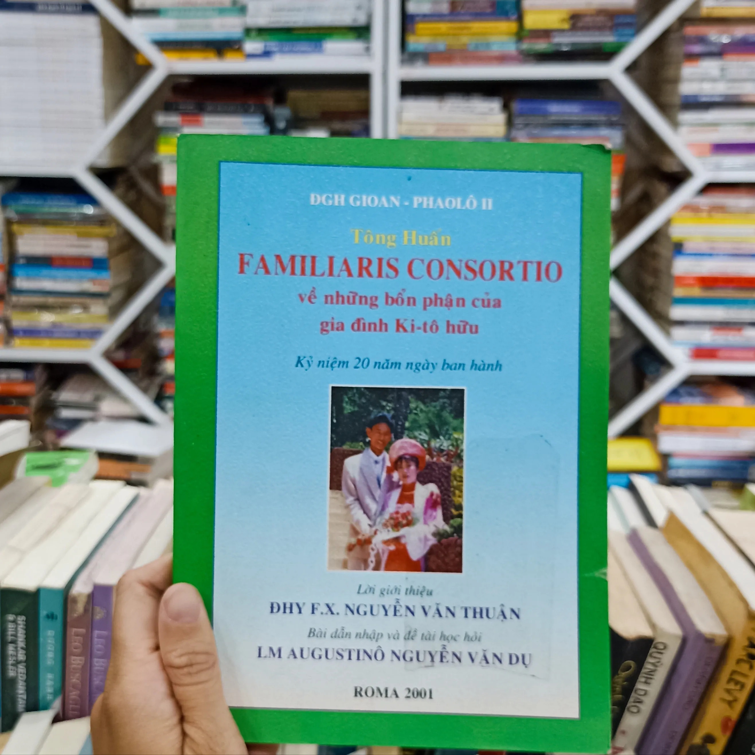 Tông Huấn 🌻 by Đức Thánh Cha Phanxicô - Sách Book Cover - Ngọc Hiển Books