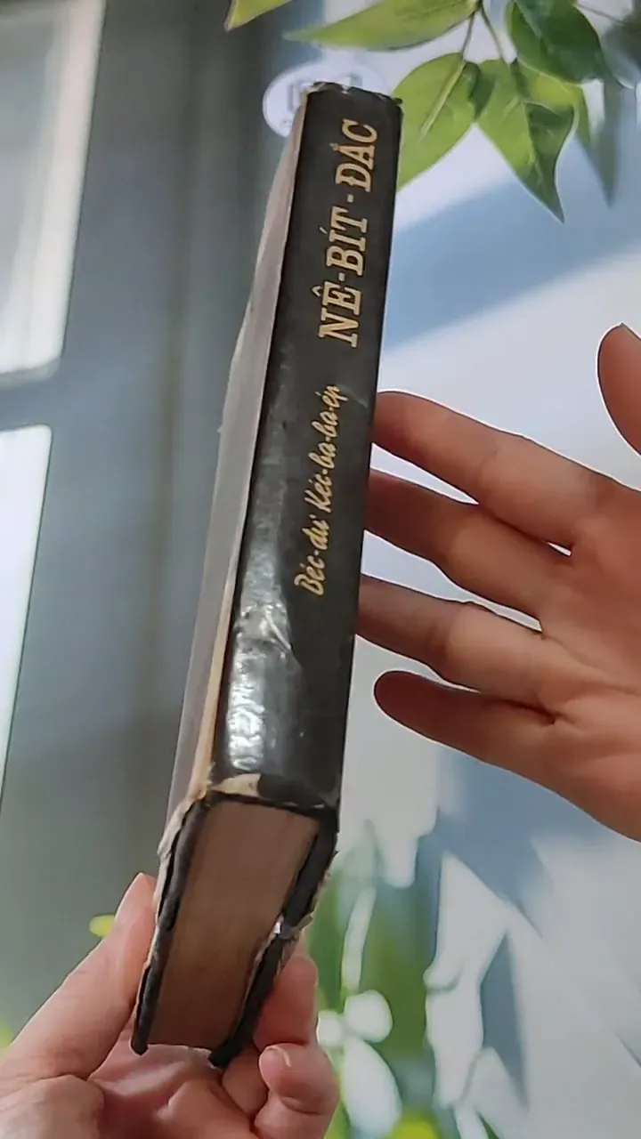 Nê-Bít-Đắc (1983) - Béc-dư Kéc-ba-ba-ep 607736