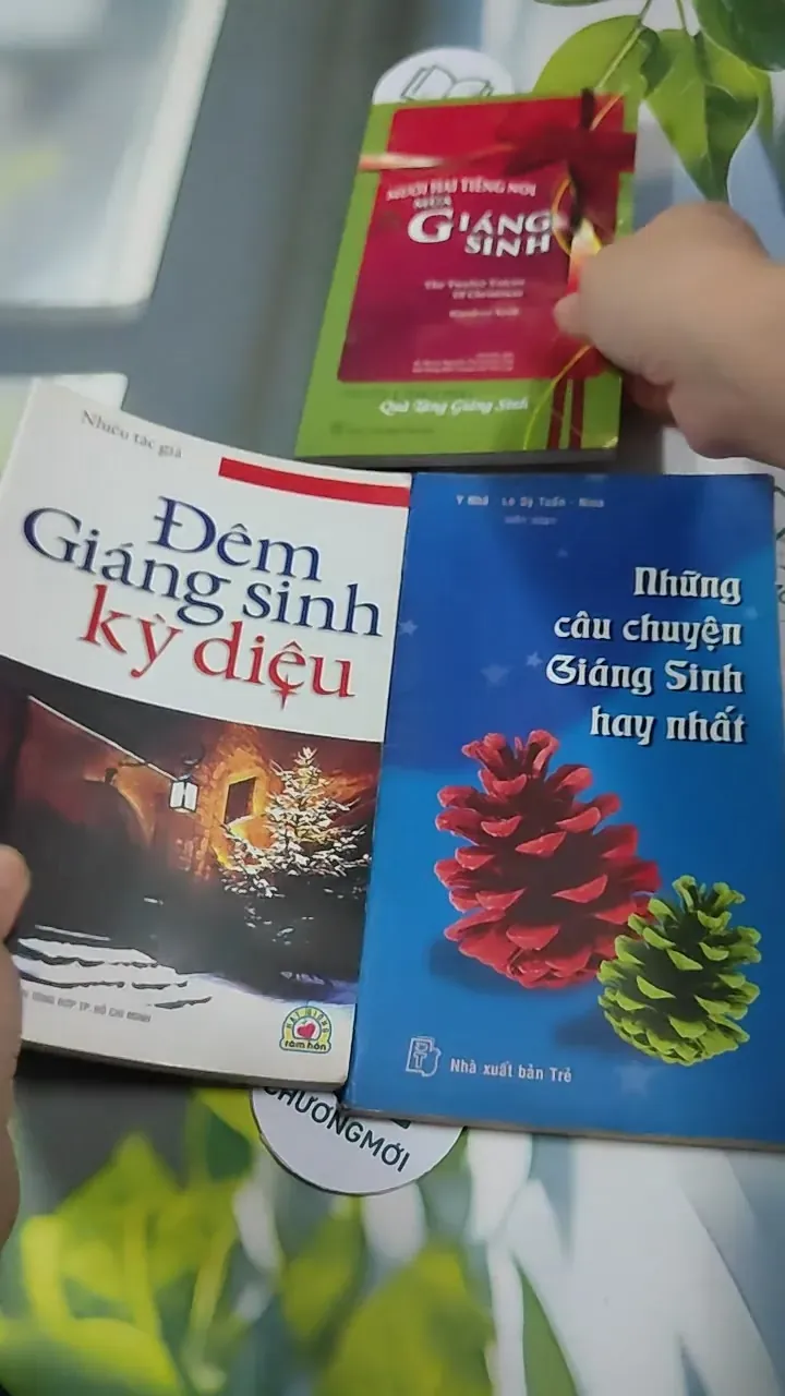 Combo Hạt Giống Tâm Hồn Quà Tặng Cuộc Sống: Giáng Sinh 727340