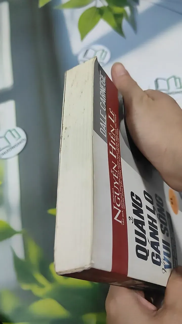 Quẳng Gánh Lo Đi Và Vui Sống - Dale Carnegie 787117