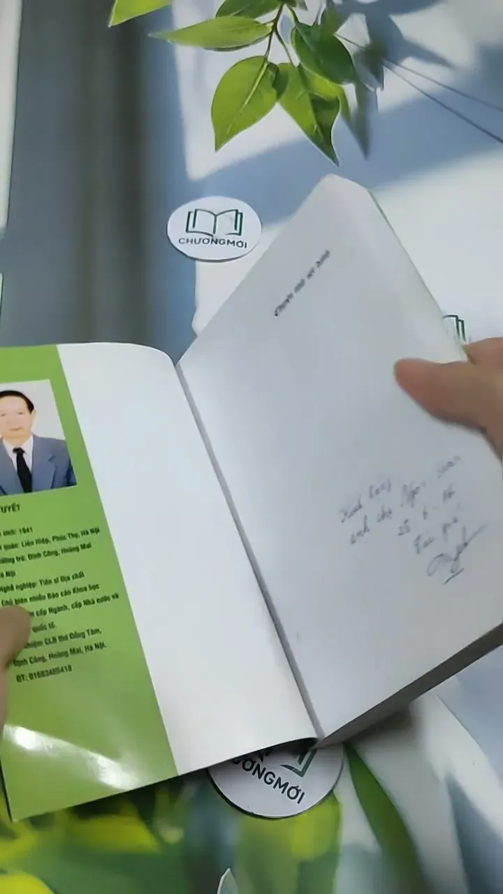 Chuyện Tình Sét Đánh - Đỗ Tuyết 705741