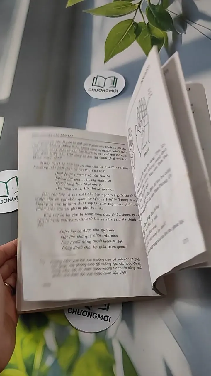 Học Thuyết Vân Bàn Tay Của Gia Cát Khổng Minh - Trình Hoành 727277