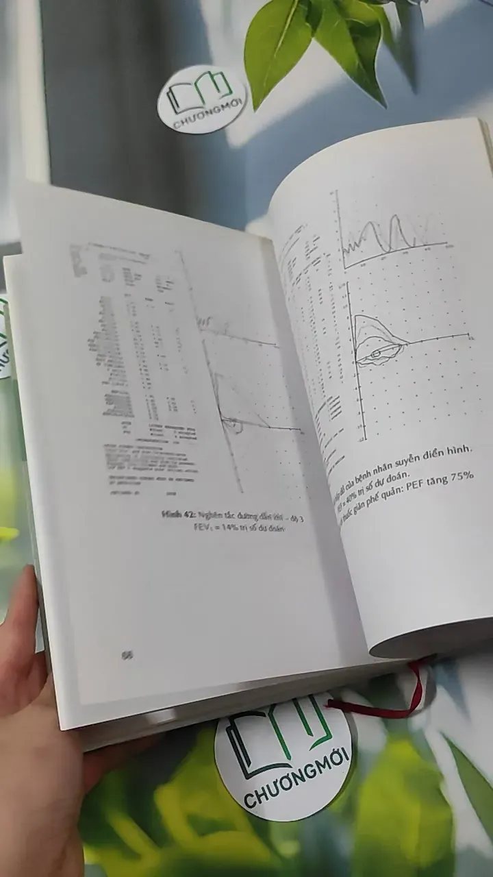 Hô Hấp Ký Spirometry - Lê Thị Tuyết Lan 780904
