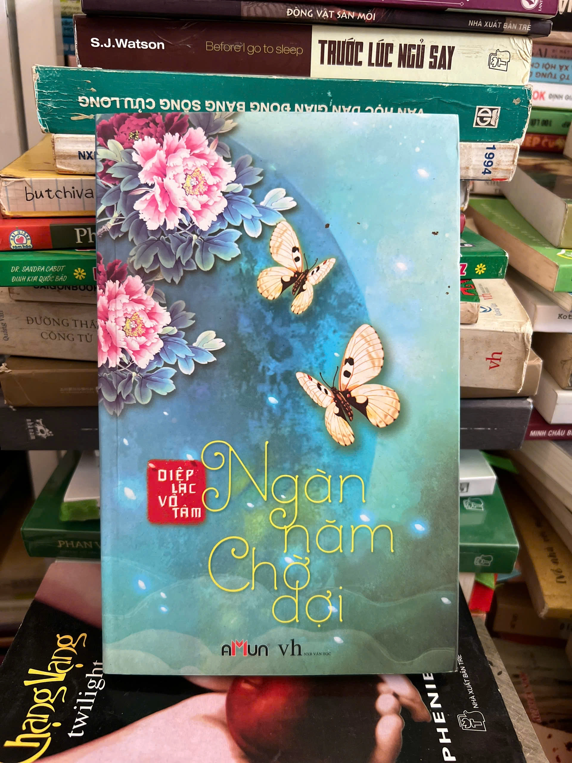 Ngàn Năm Chờ Đợ