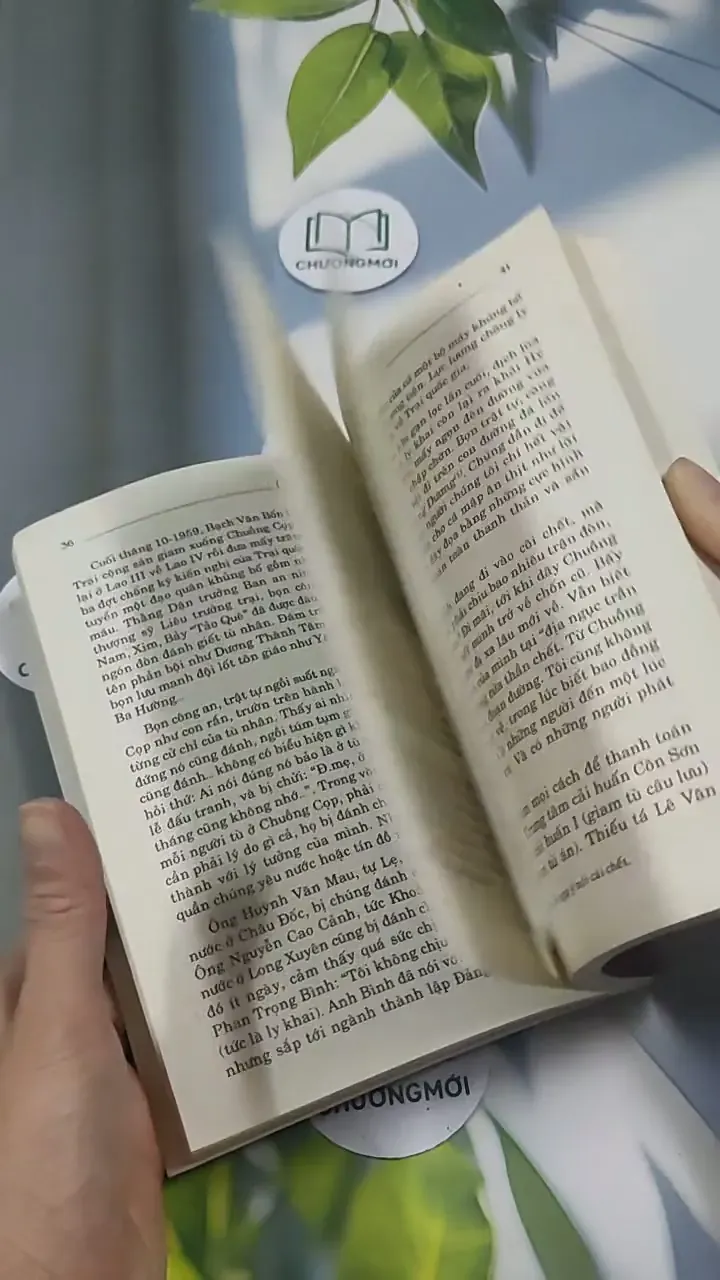 Có Bác Mãi Trong Tim 715608